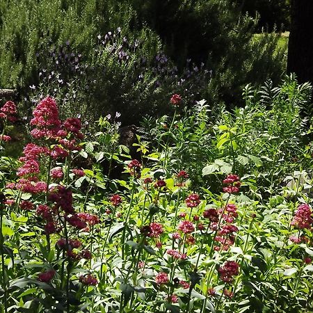 Backyard Garden Oasis Bed & Breakfast Middletown Luaran gambar