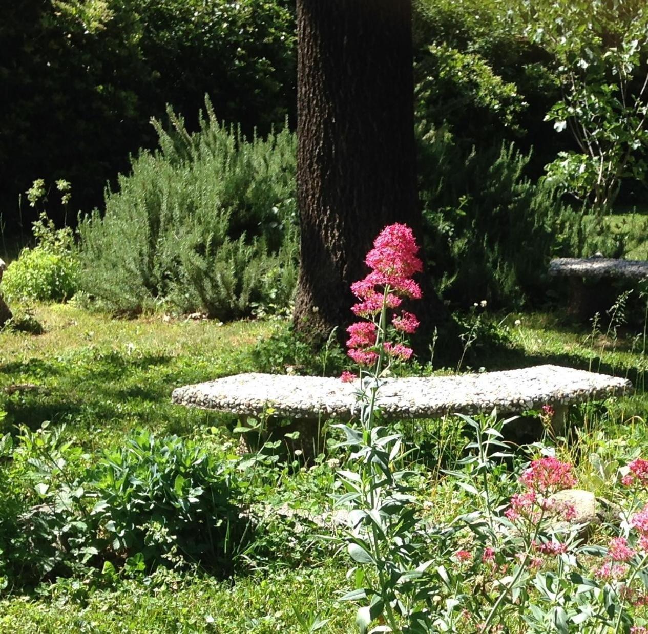Backyard Garden Oasis Bed & Breakfast Middletown Luaran gambar