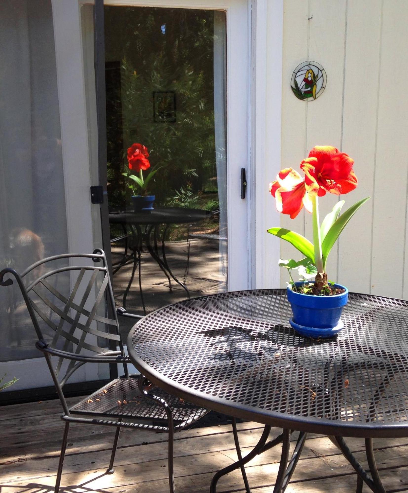 Backyard Garden Oasis Bed & Breakfast Middletown Luaran gambar
