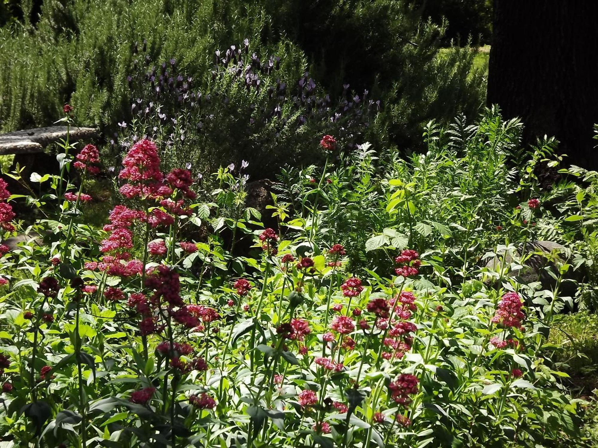 Backyard Garden Oasis Bed & Breakfast Middletown Luaran gambar