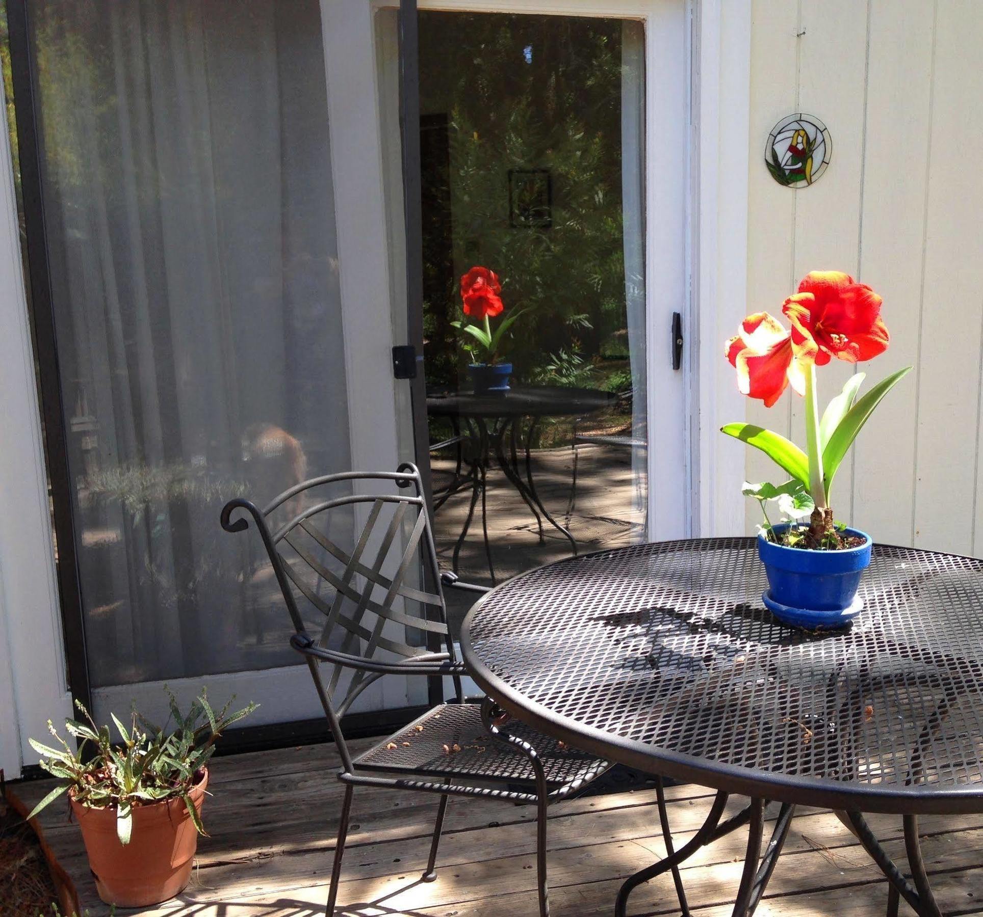 Backyard Garden Oasis Bed & Breakfast Middletown Luaran gambar