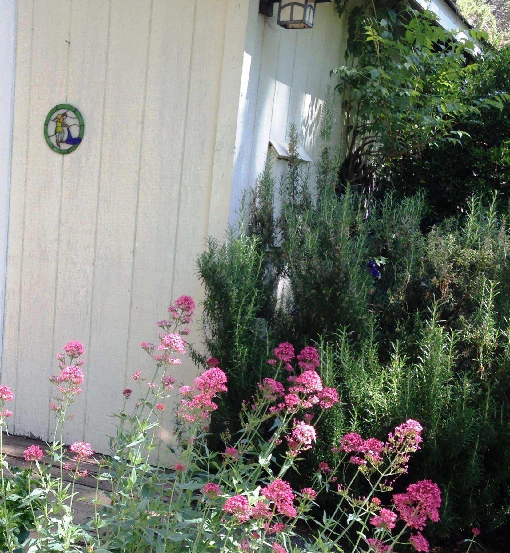 Backyard Garden Oasis Bed & Breakfast Middletown Luaran gambar